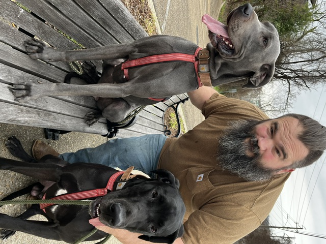 A River Danes family member spending time with River and Rouge
